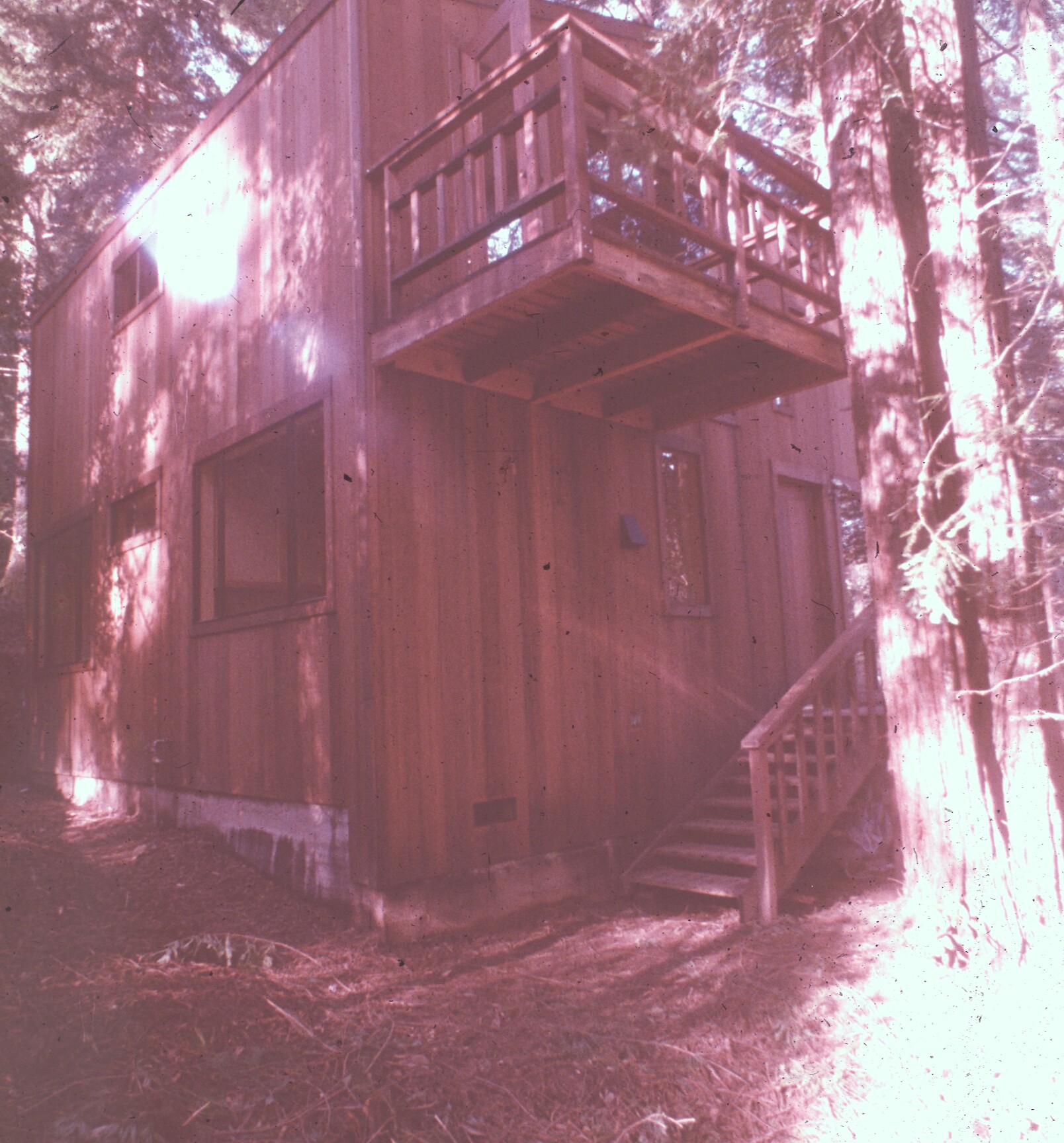 Image gallery image