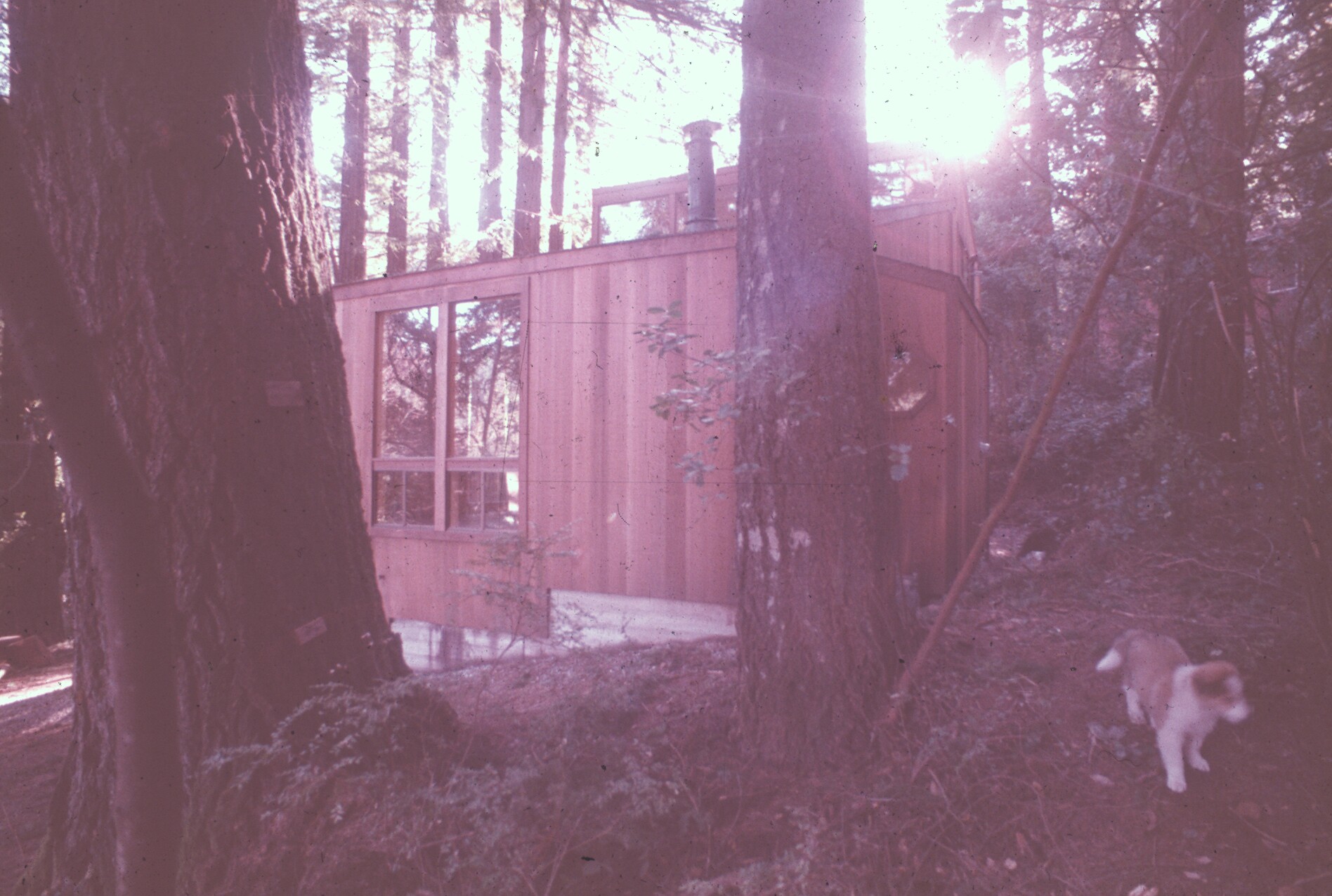 Image gallery image