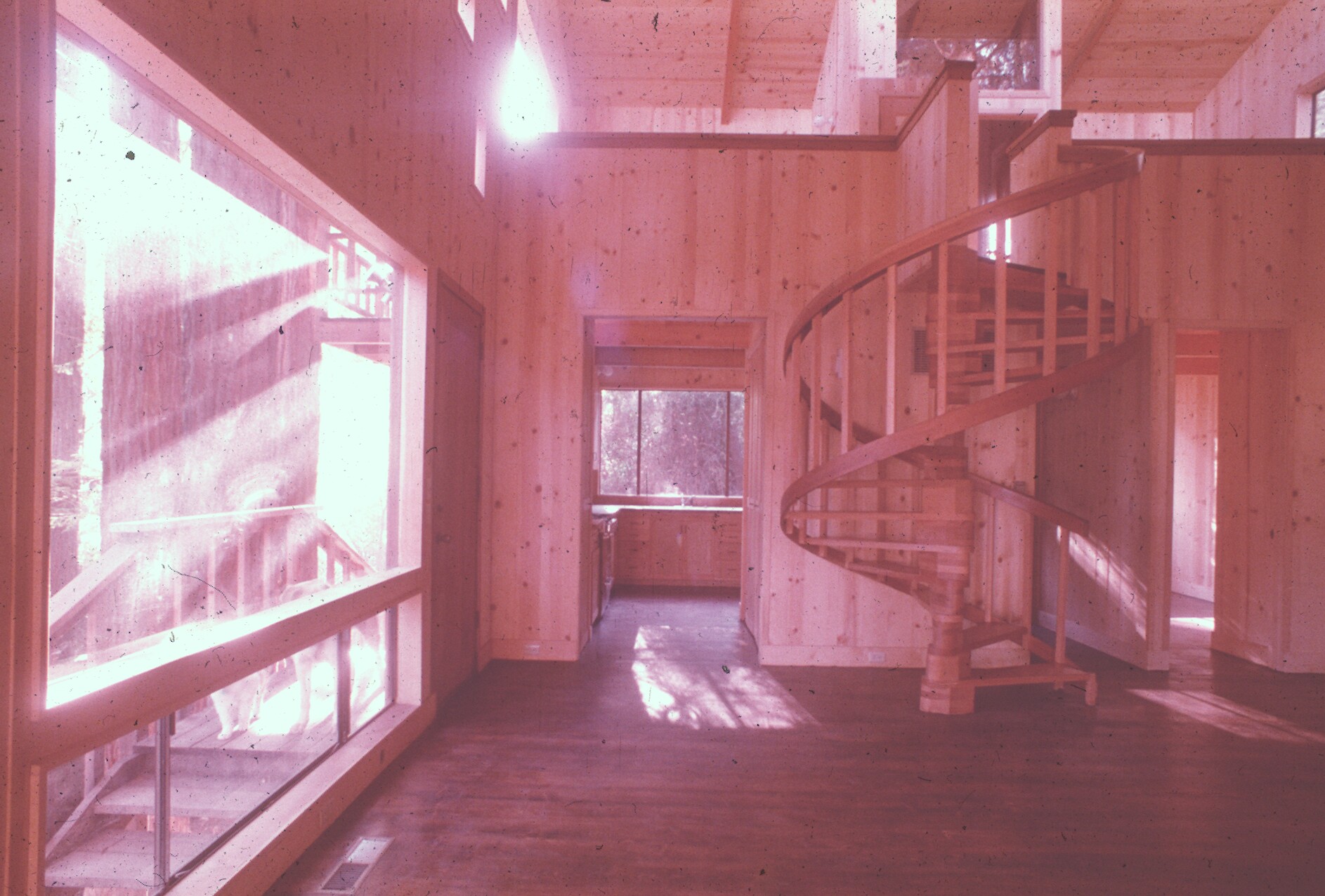 Image gallery image