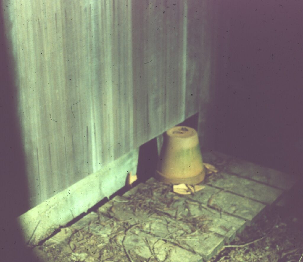 Image gallery image