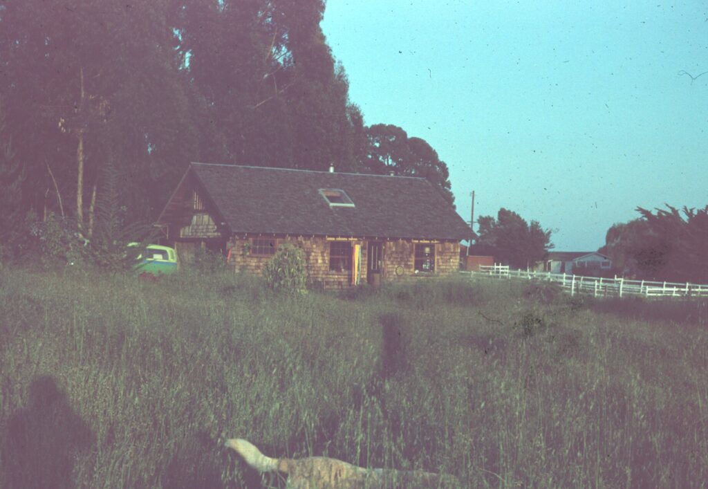 Image gallery image