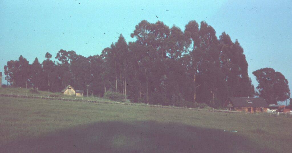 Image gallery image