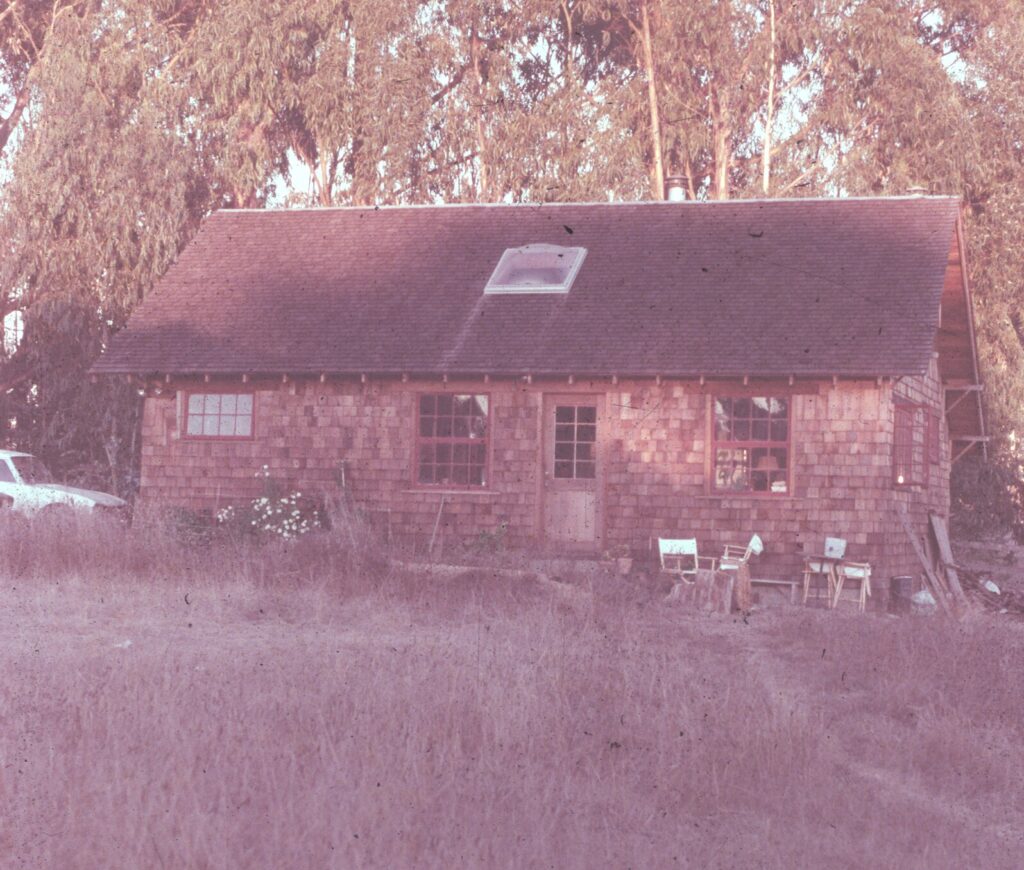 Image gallery image