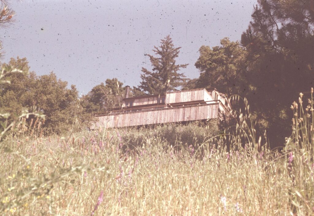 Image gallery image