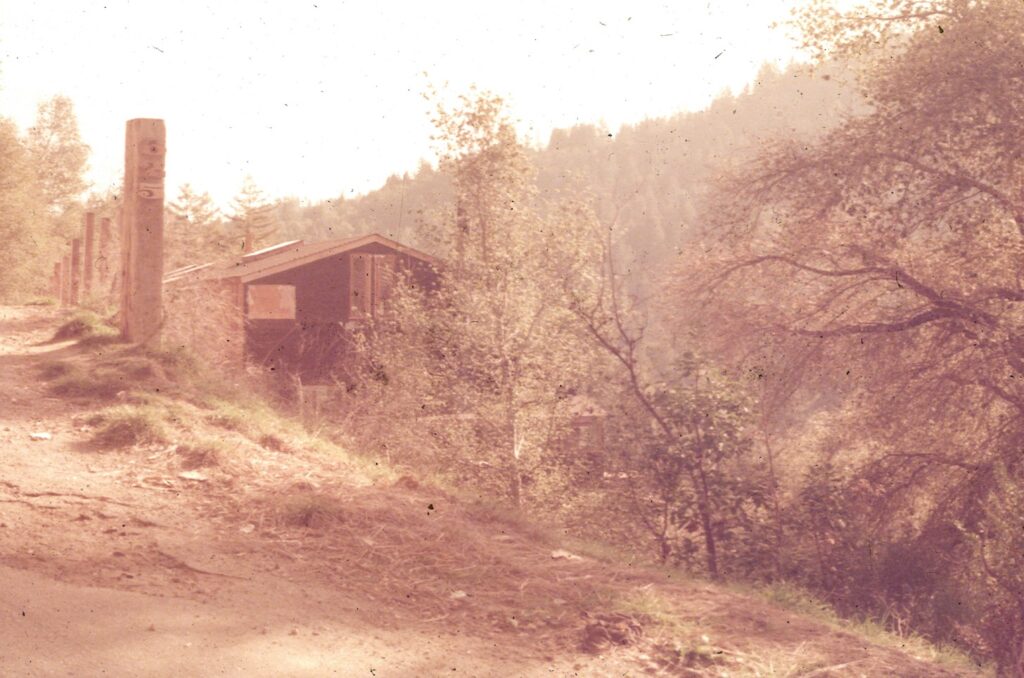 Image gallery image