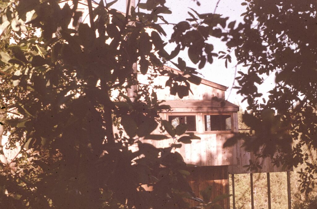Image gallery image