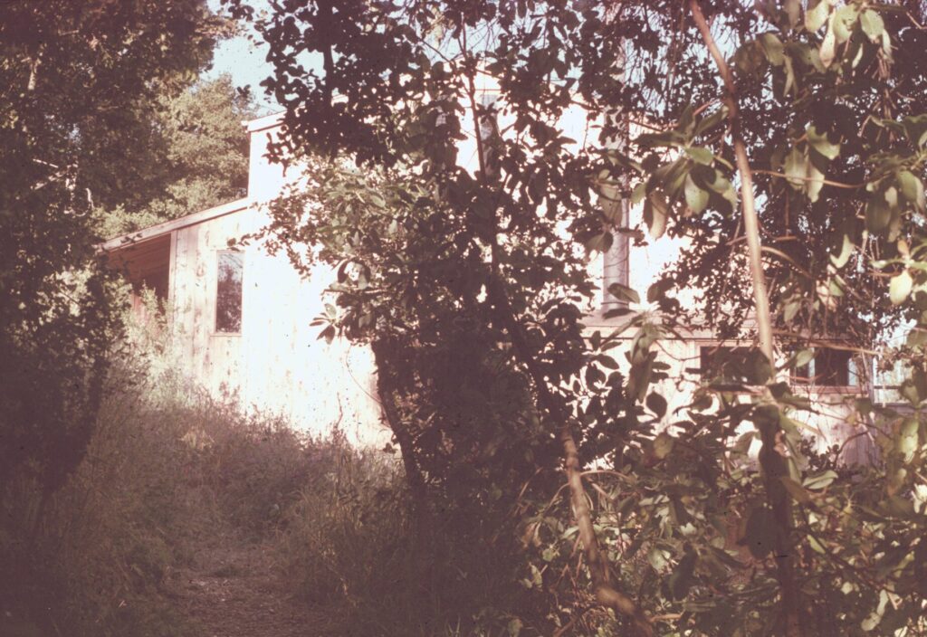 Image gallery image